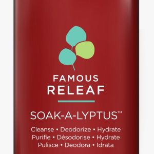 Dadi' Famous Releaf Soak-A-Lyptus 946ml