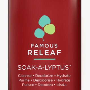 Dadi' Famous Releaf Soak-A-Lyptus 946ml