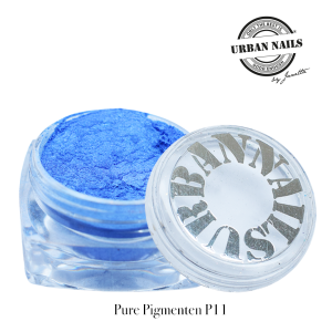 Pure Pigments P11